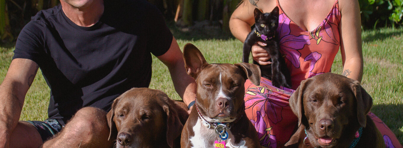 Movimentar para viver mais: animais também precisam se exercitar